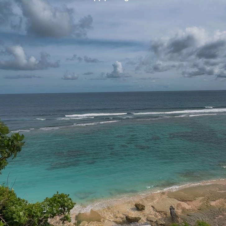 степные волки