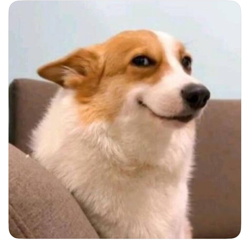 Степные волки севера