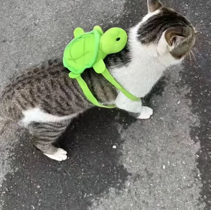 Бистры ношка