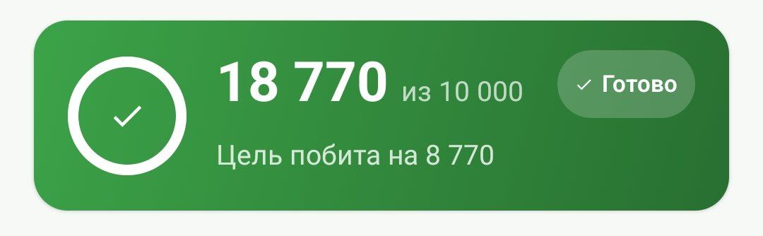 Акси сайругашт