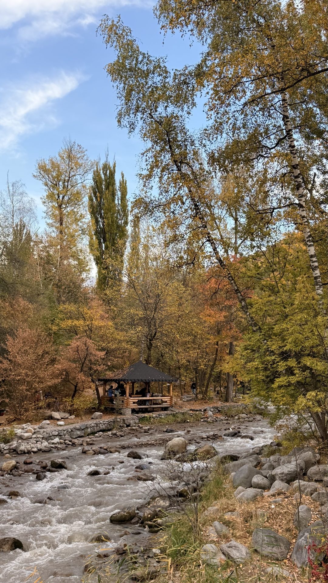 Акси сайругашт