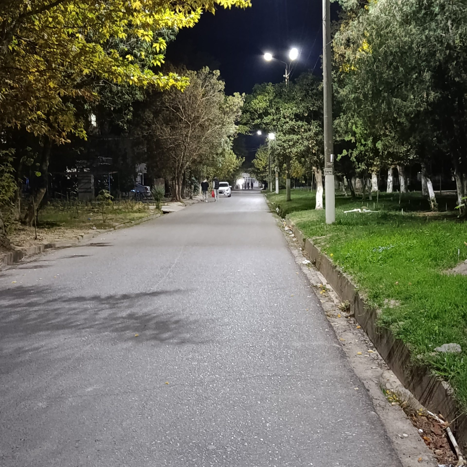 Сәйли сүрити