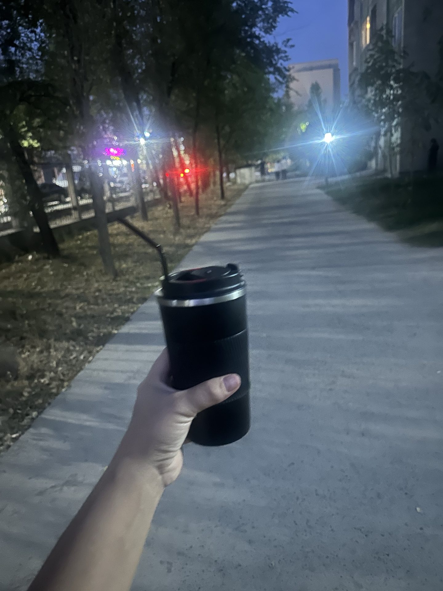 Акси сайругашт