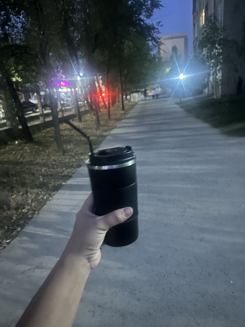 Акси сайругашт