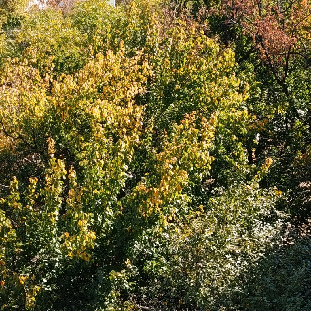 Walk photo