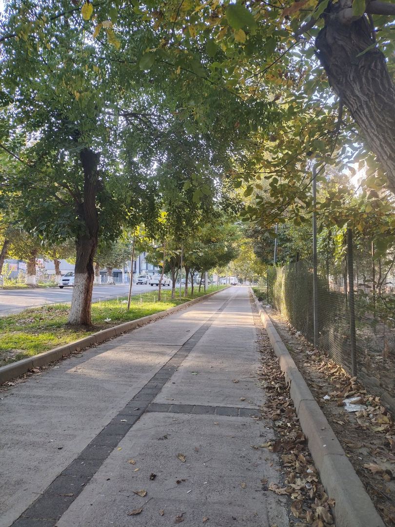 Walk photo