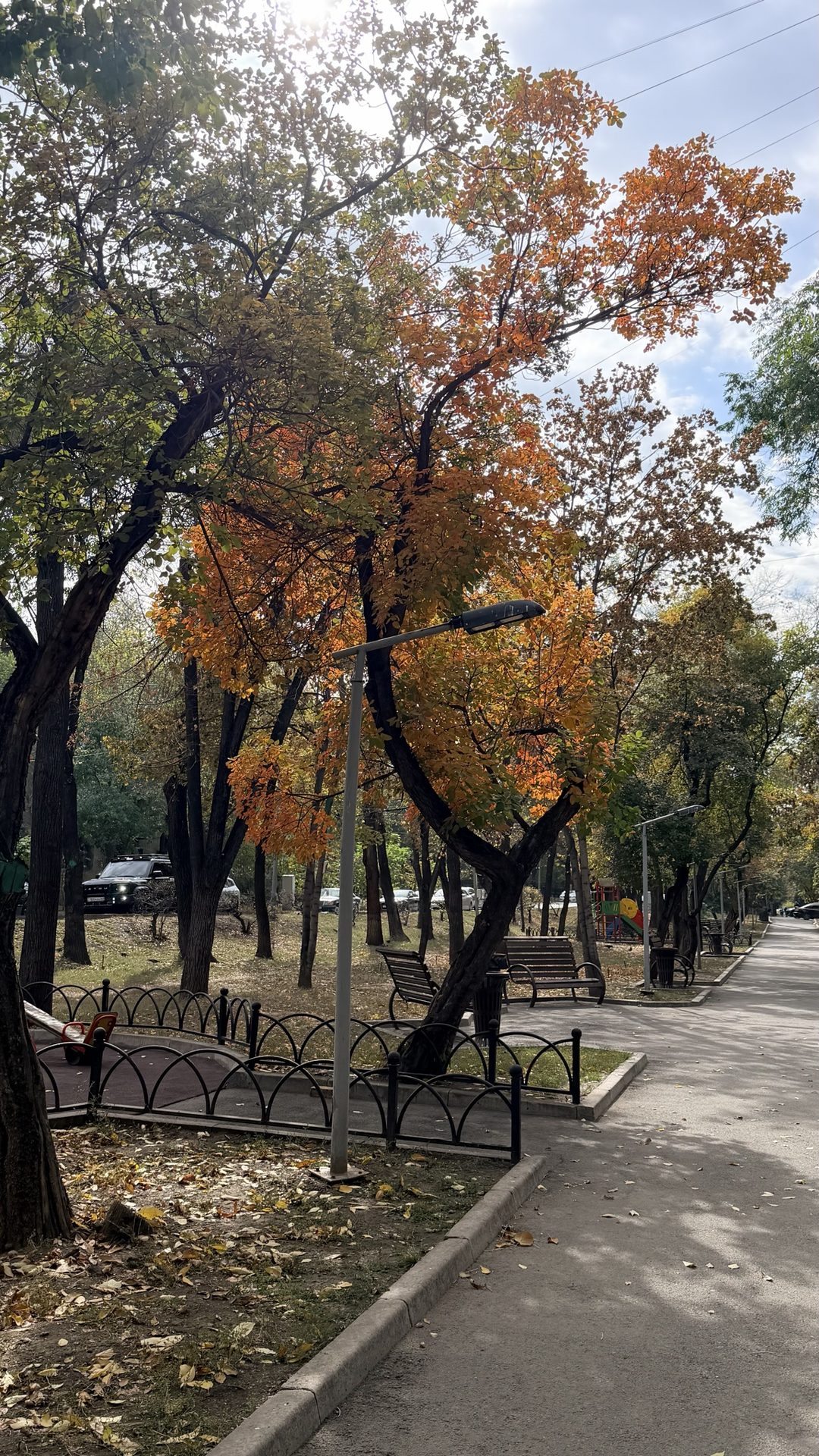 10 тыс шагов давно done ✅