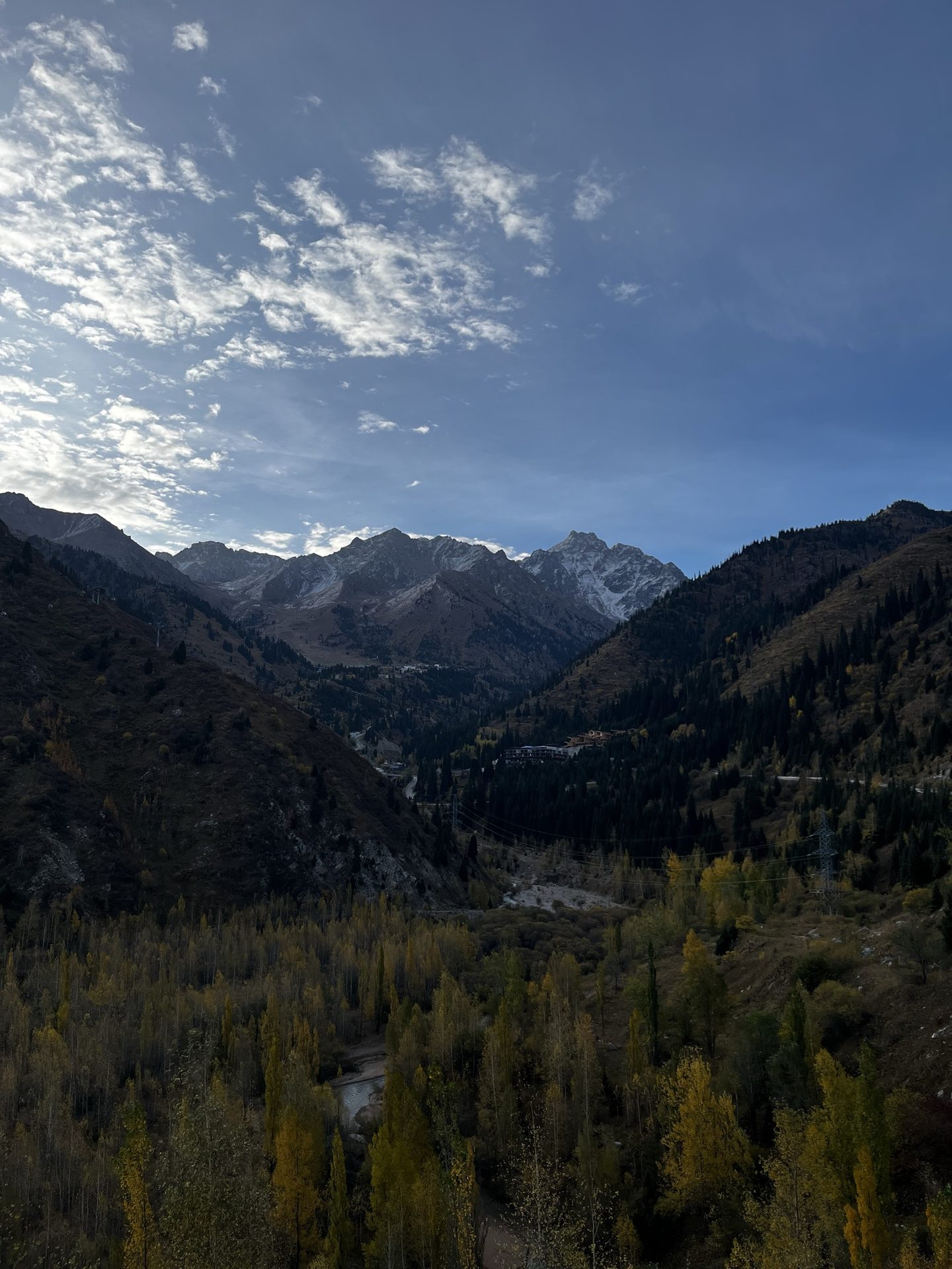 «Береги лес — вырубай людей.»⛰️