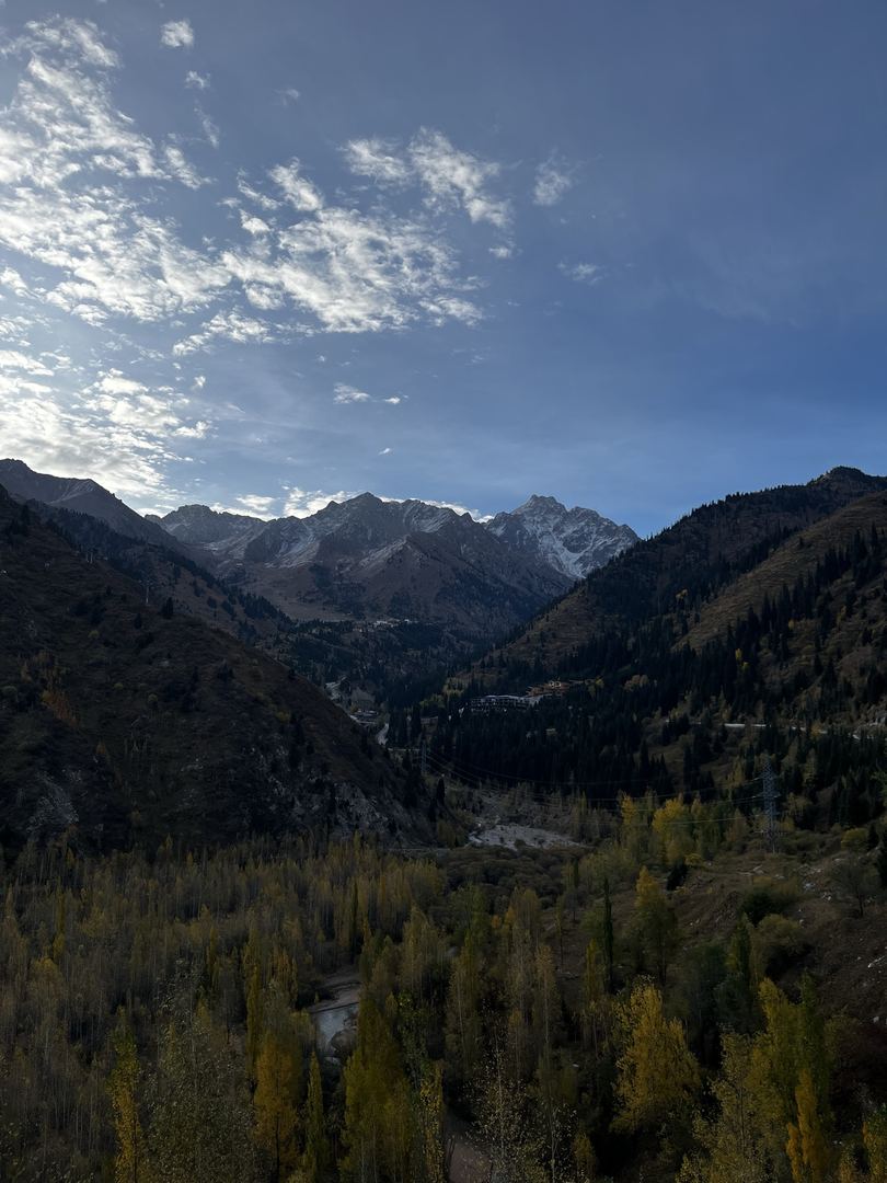 «Береги лес — вырубай людей.»⛰️