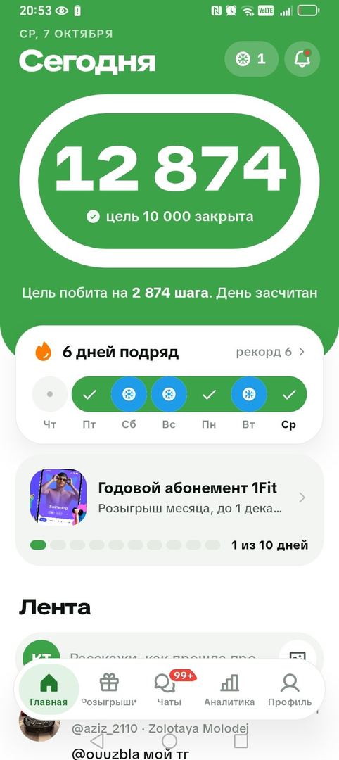 Акси сайругашт