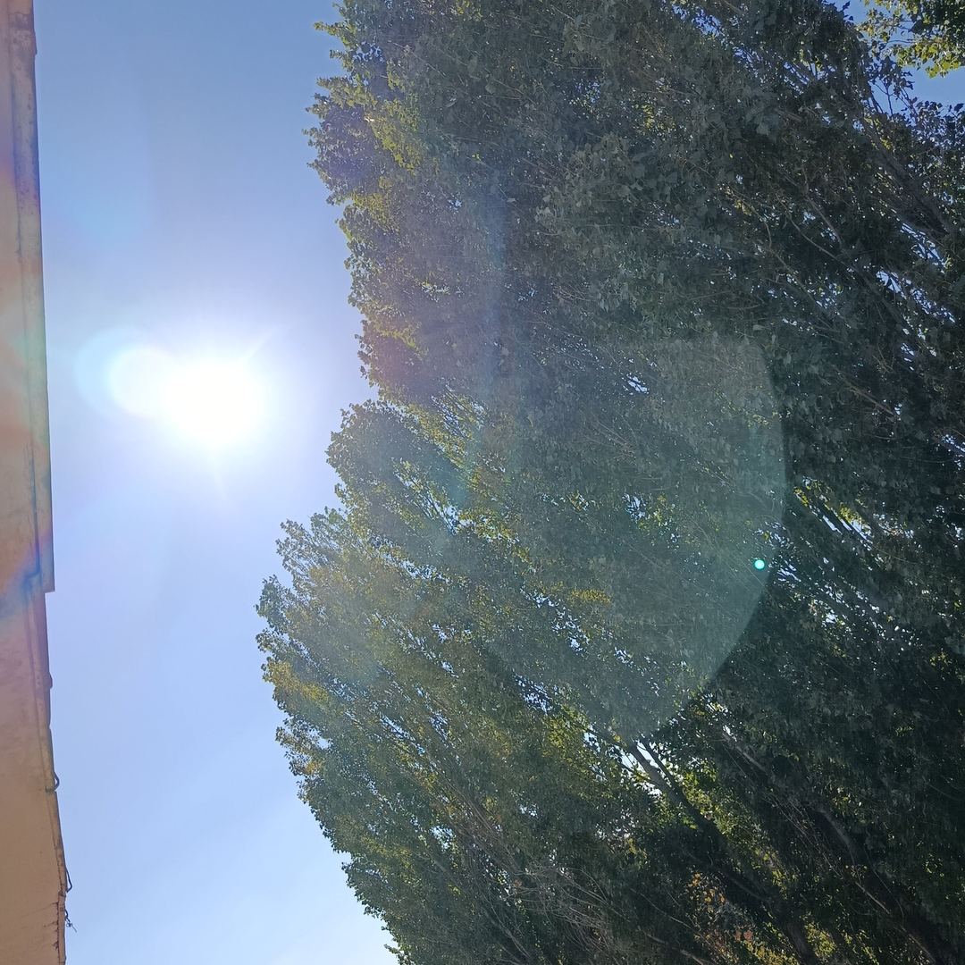 Walk photo