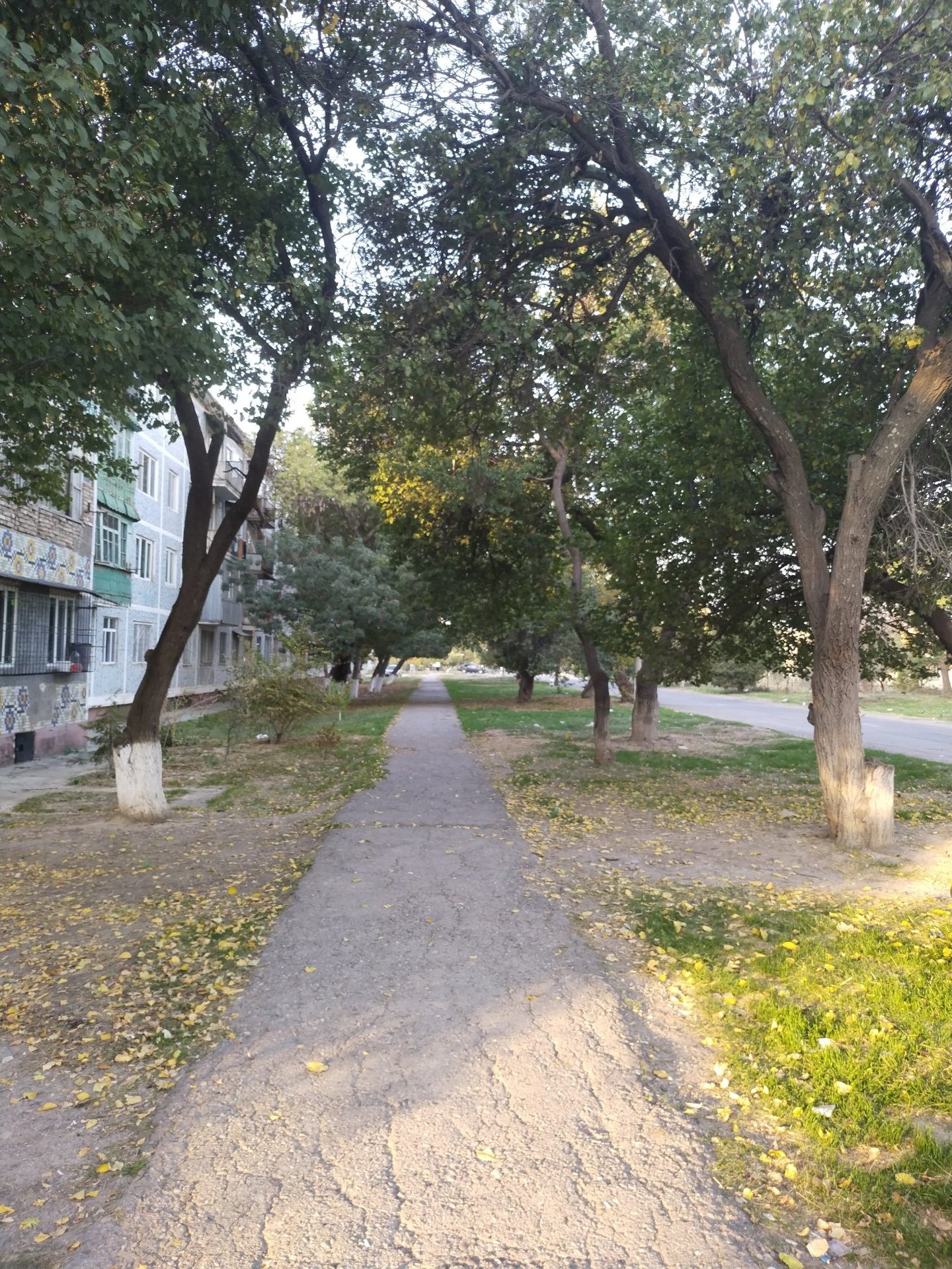 Серуен фотосы
