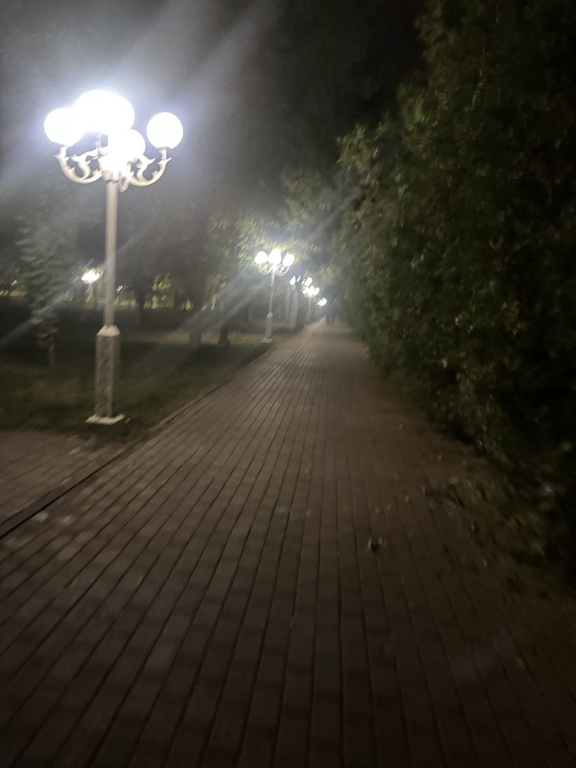 Вечерняя прогулка