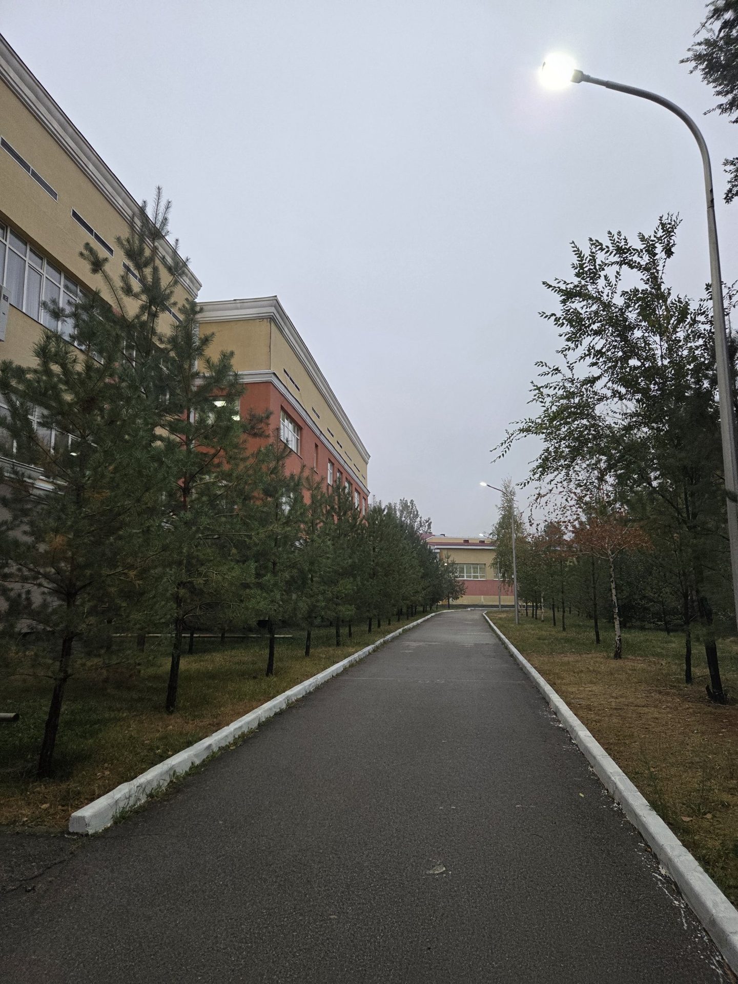 Акси сайругашт