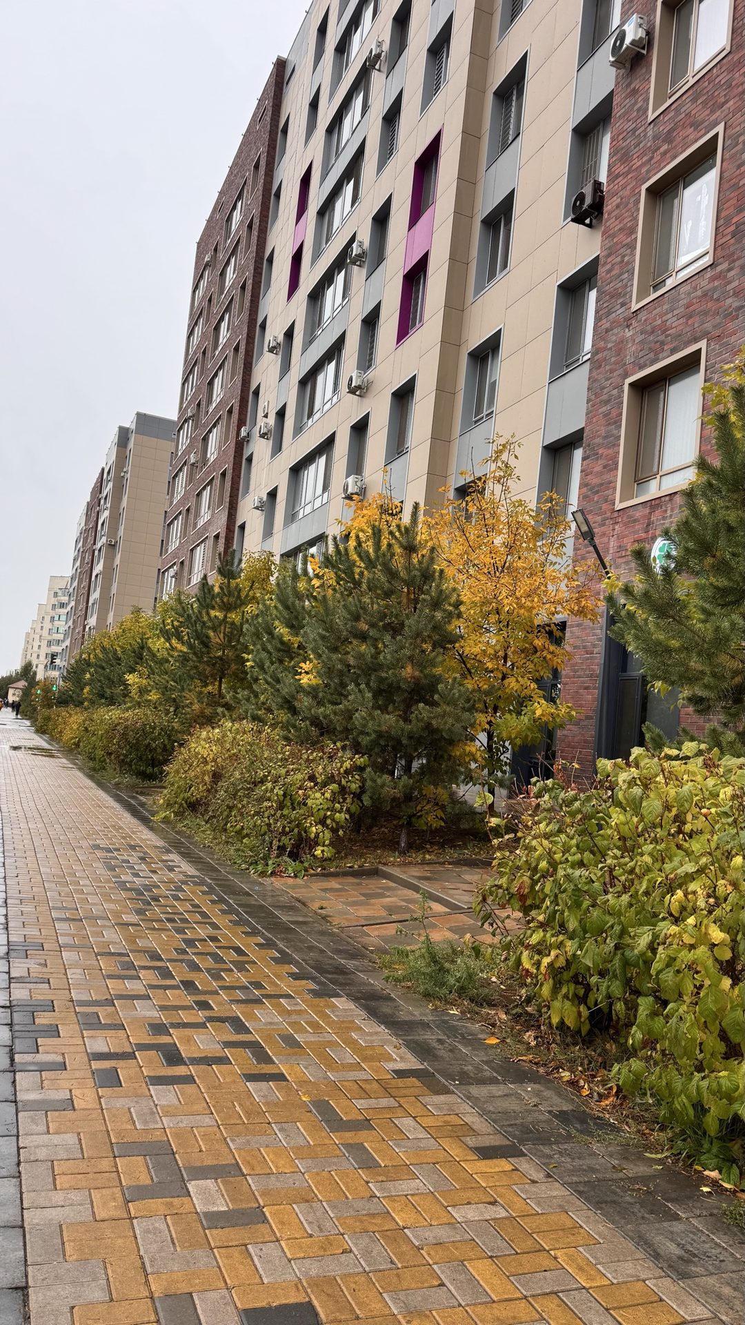 Астана, күзгі 🍂🍁көрініс! 
Кешке дейін 10мыңнан асыру.