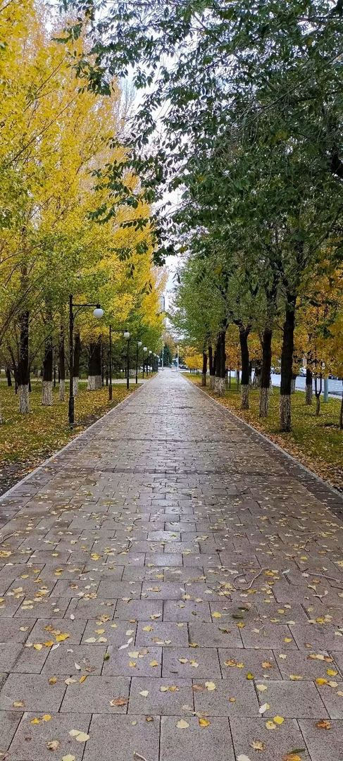 Осень в Астане