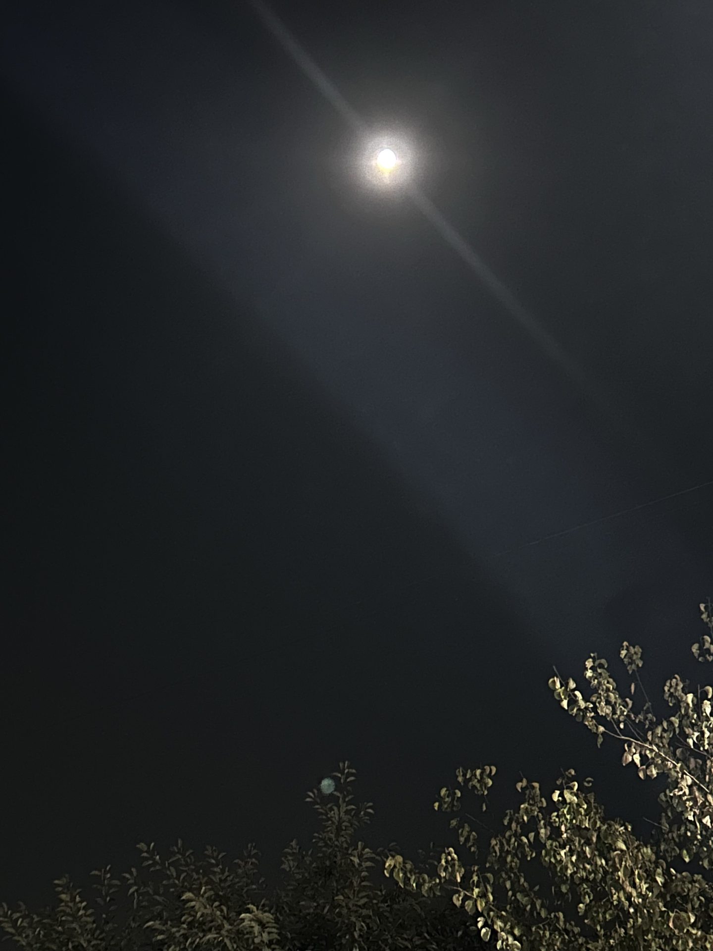 Sayr fotosi