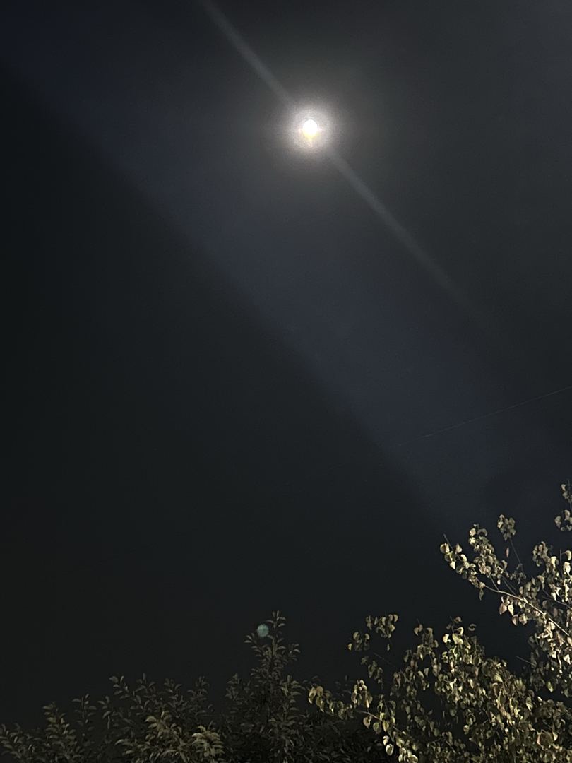 Sayr fotosi