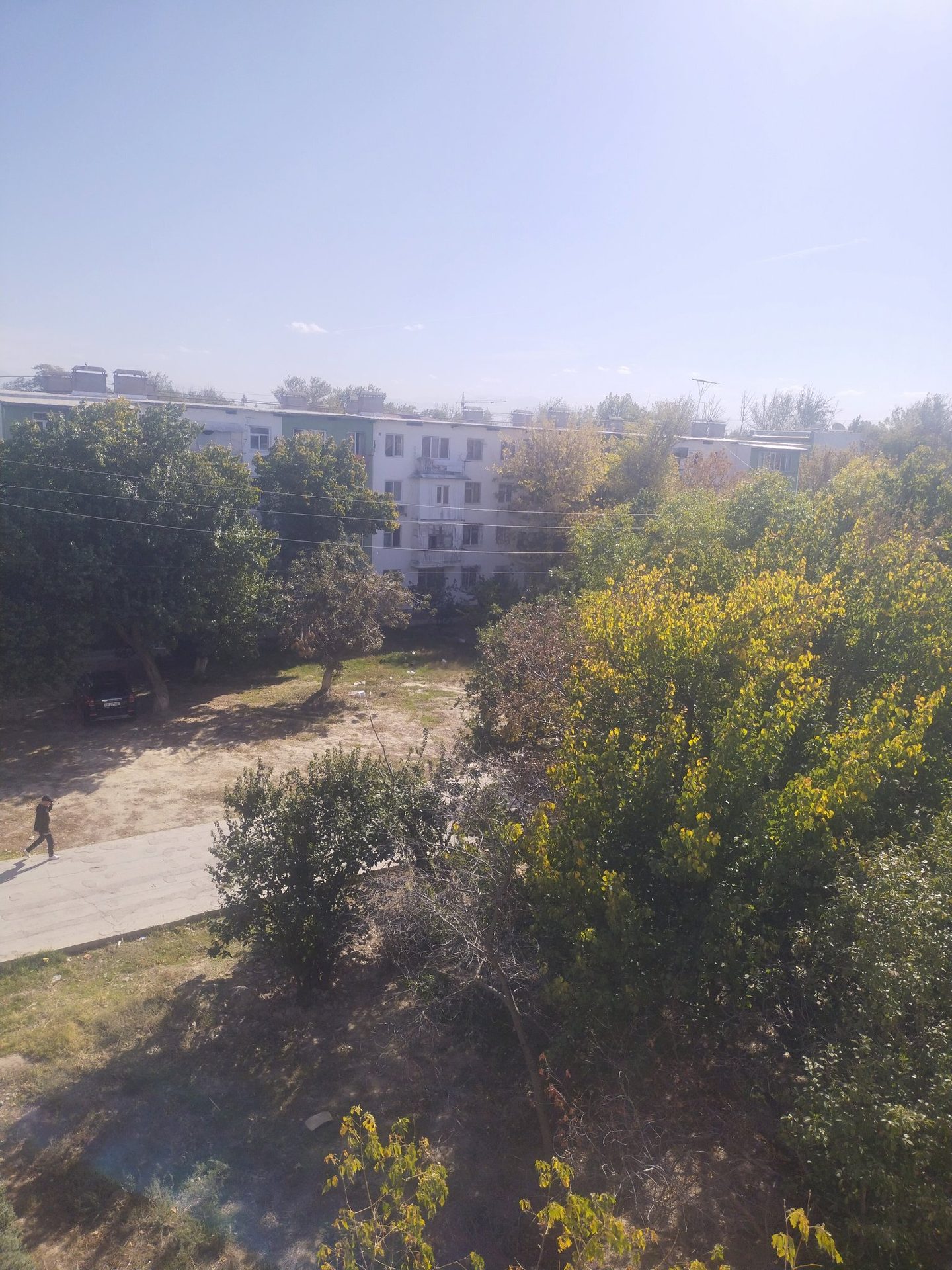 Sayr fotosi