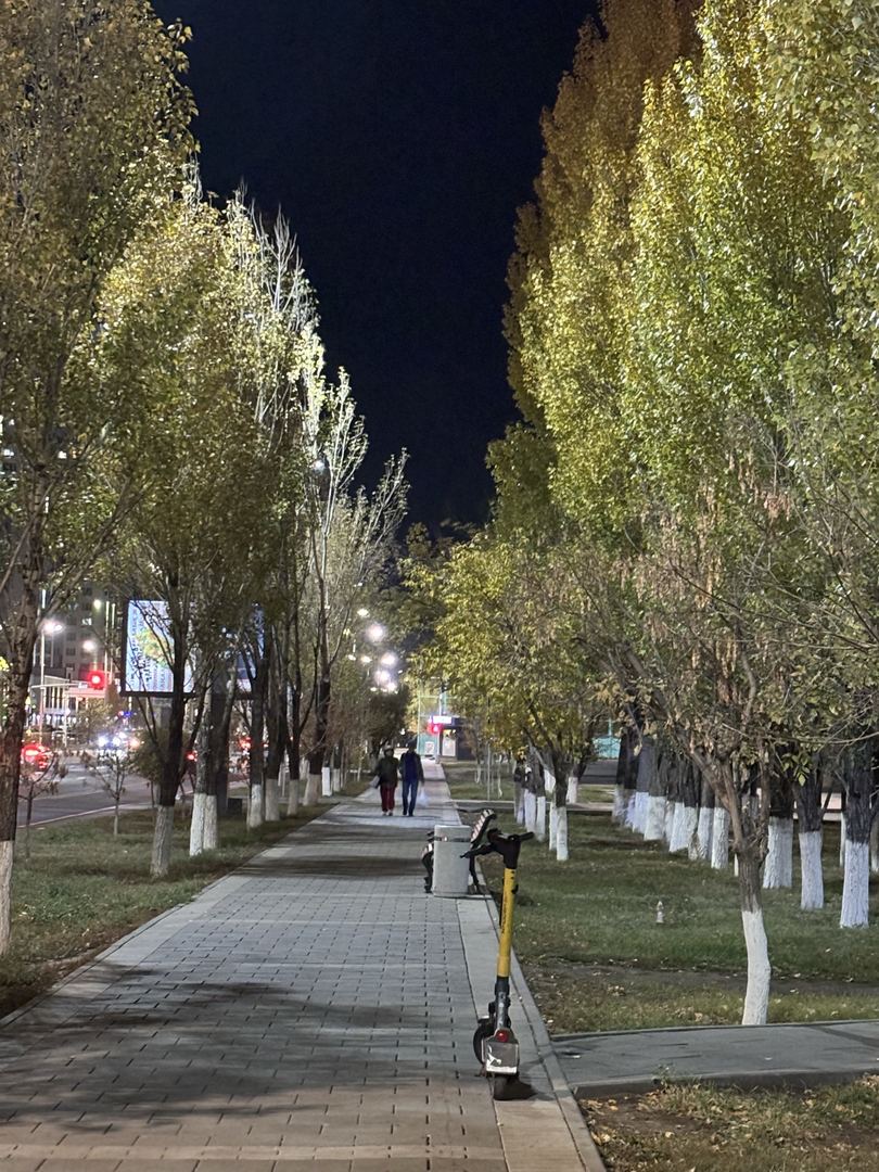 Sayr fotosi