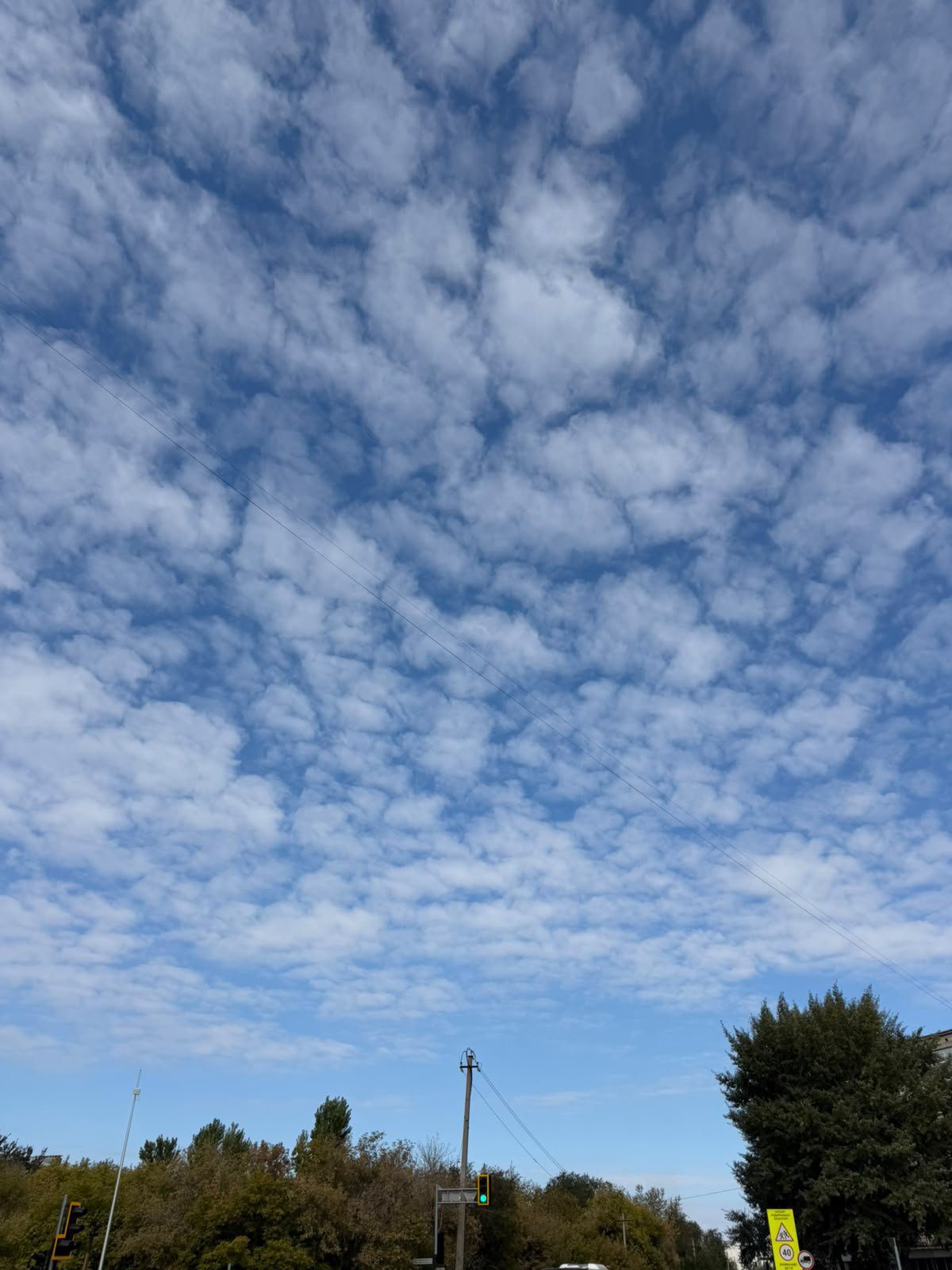 Walk photo