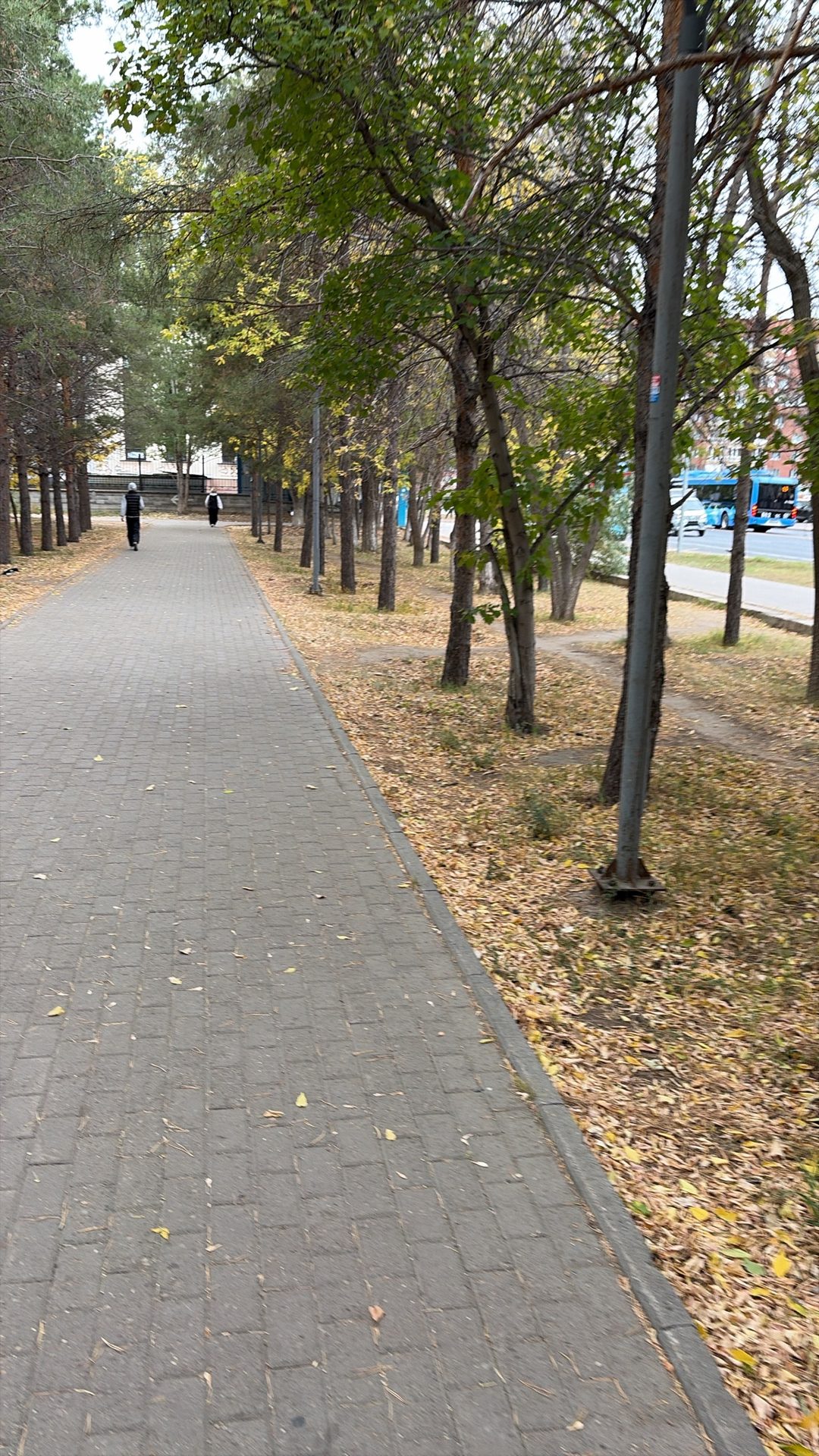 Прогулка по парку Жеруйык ☺️👍