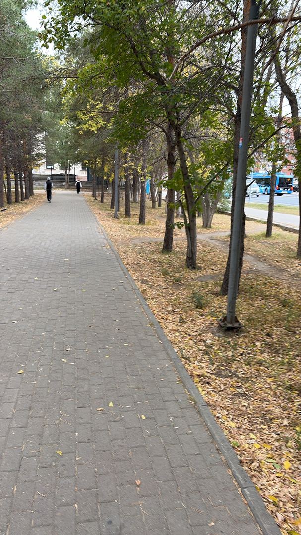 Прогулка по парку Жеруйык ☺️👍
