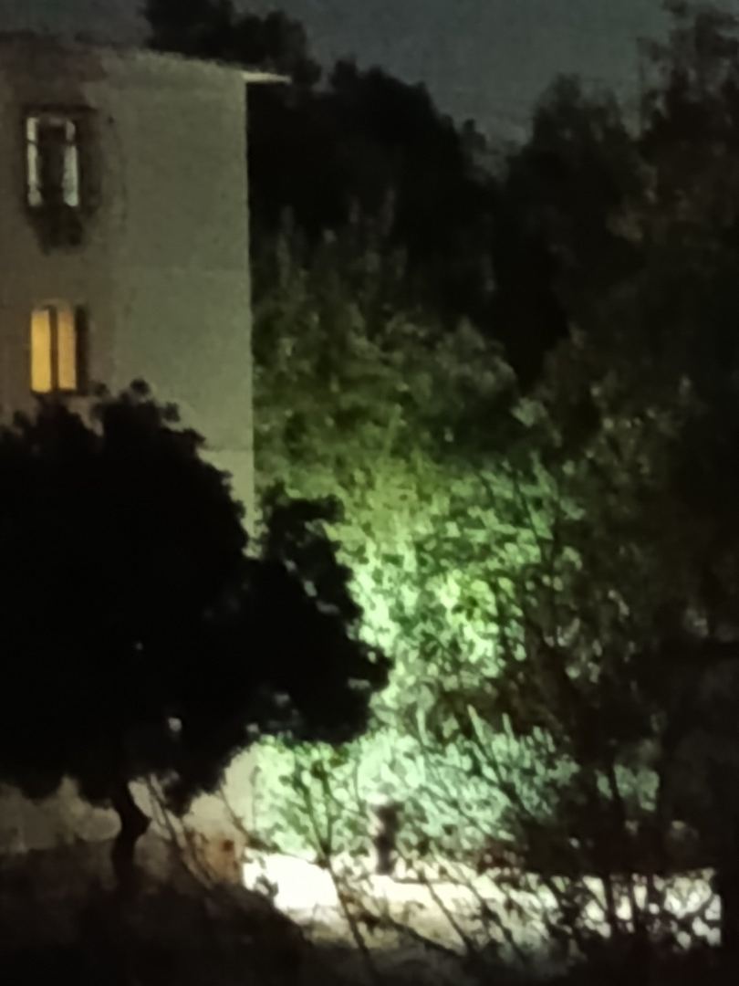 Sayr fotosi