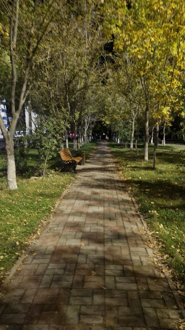 Сәйли сүрити