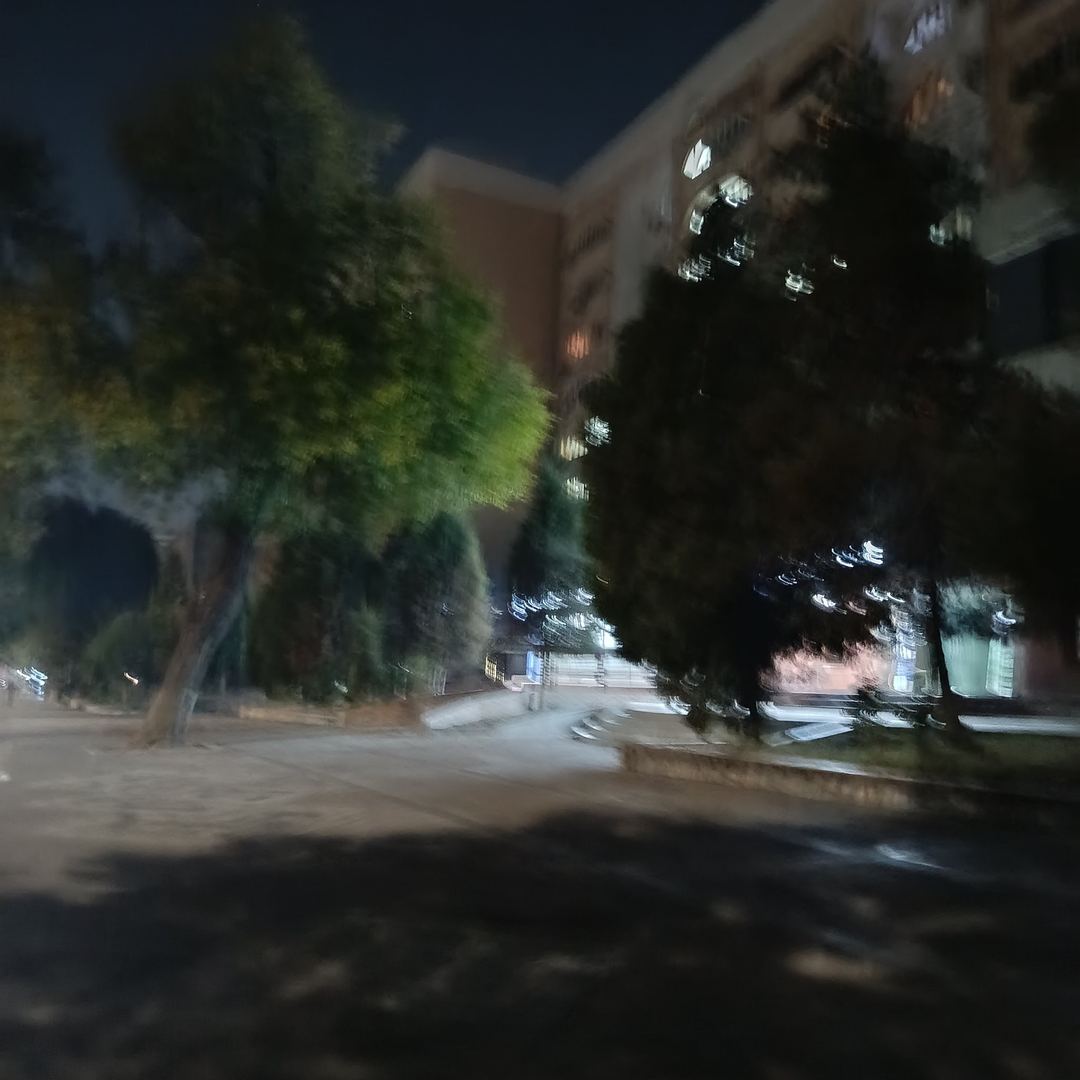 Сәйли сүрити