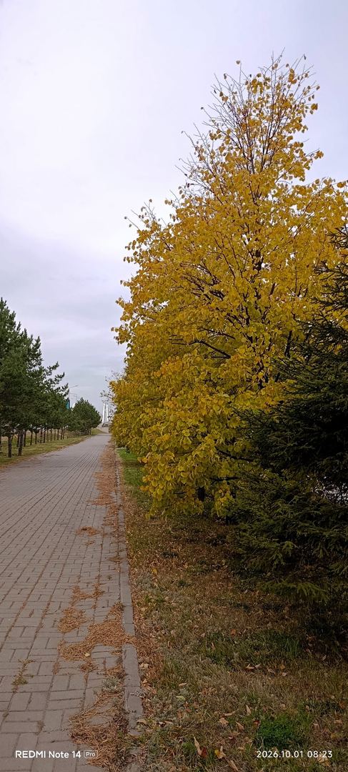 Мына өмір, біздің тоқтаусыз
жүріп өтетін жолымыз, содықтан …