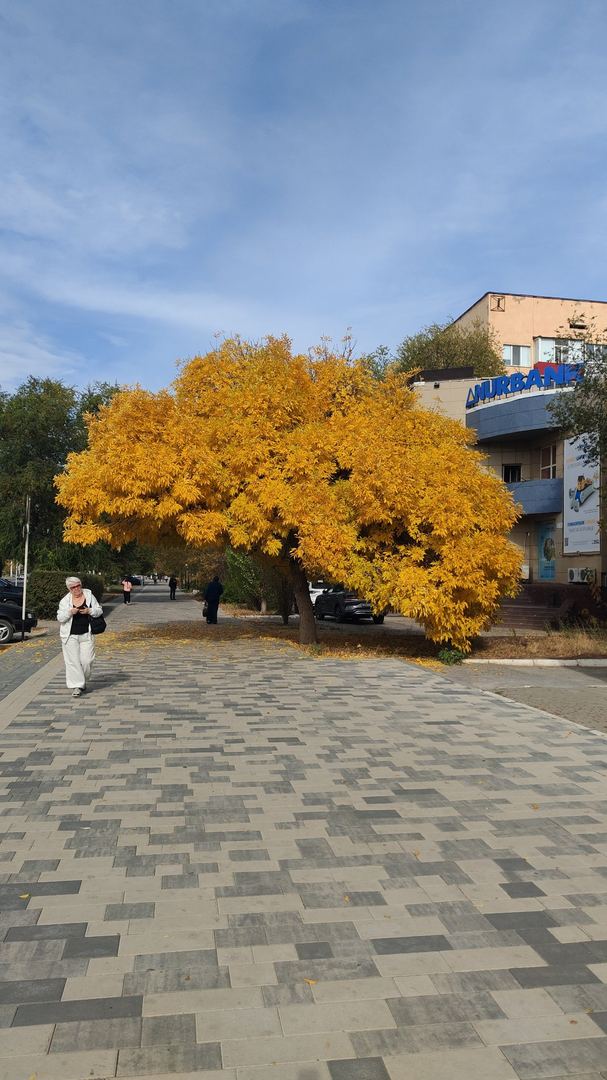 Серуен фотосы