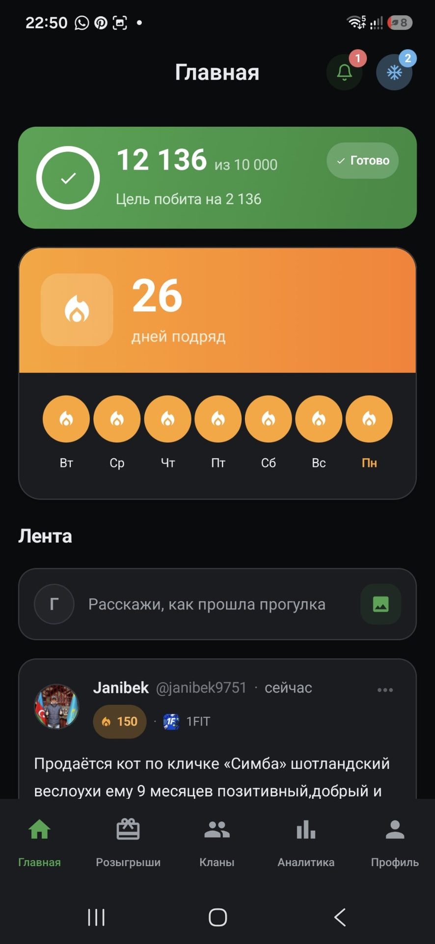 Акси сайругашт