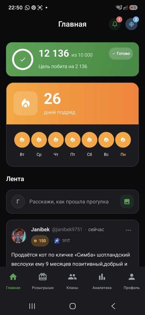 Акси сайругашт