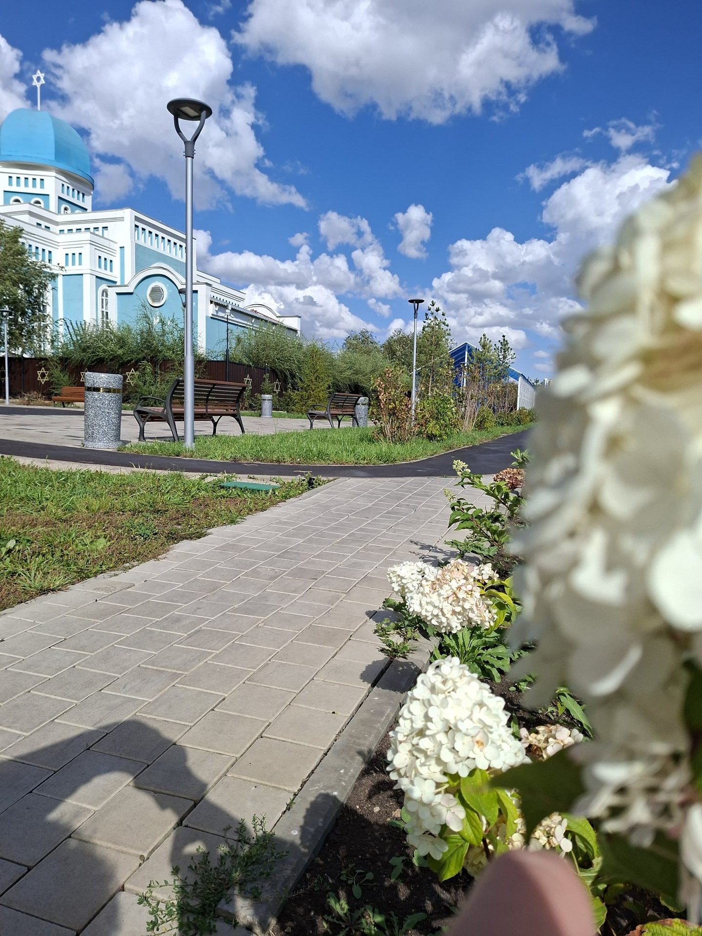 Сәйли сүрити