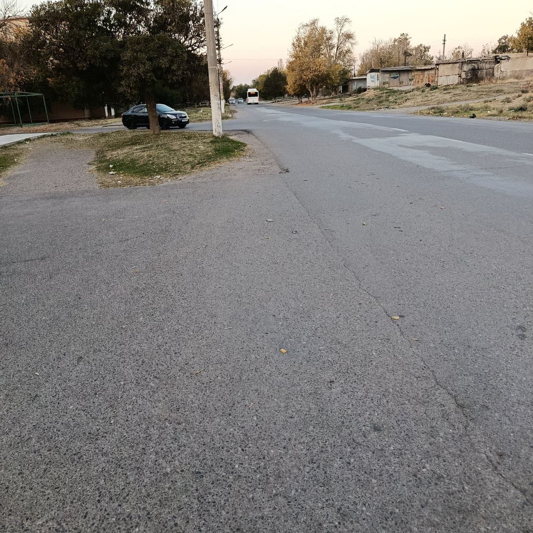 Сәйли сүрити