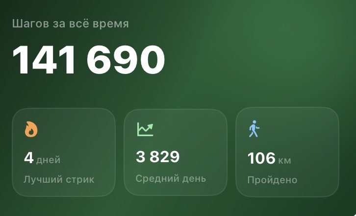 Акси сайругашт
