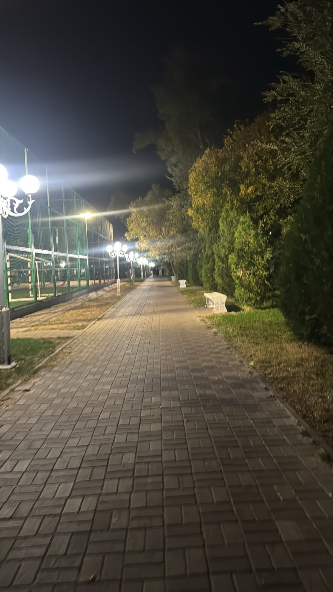 Я иду на рекорд!