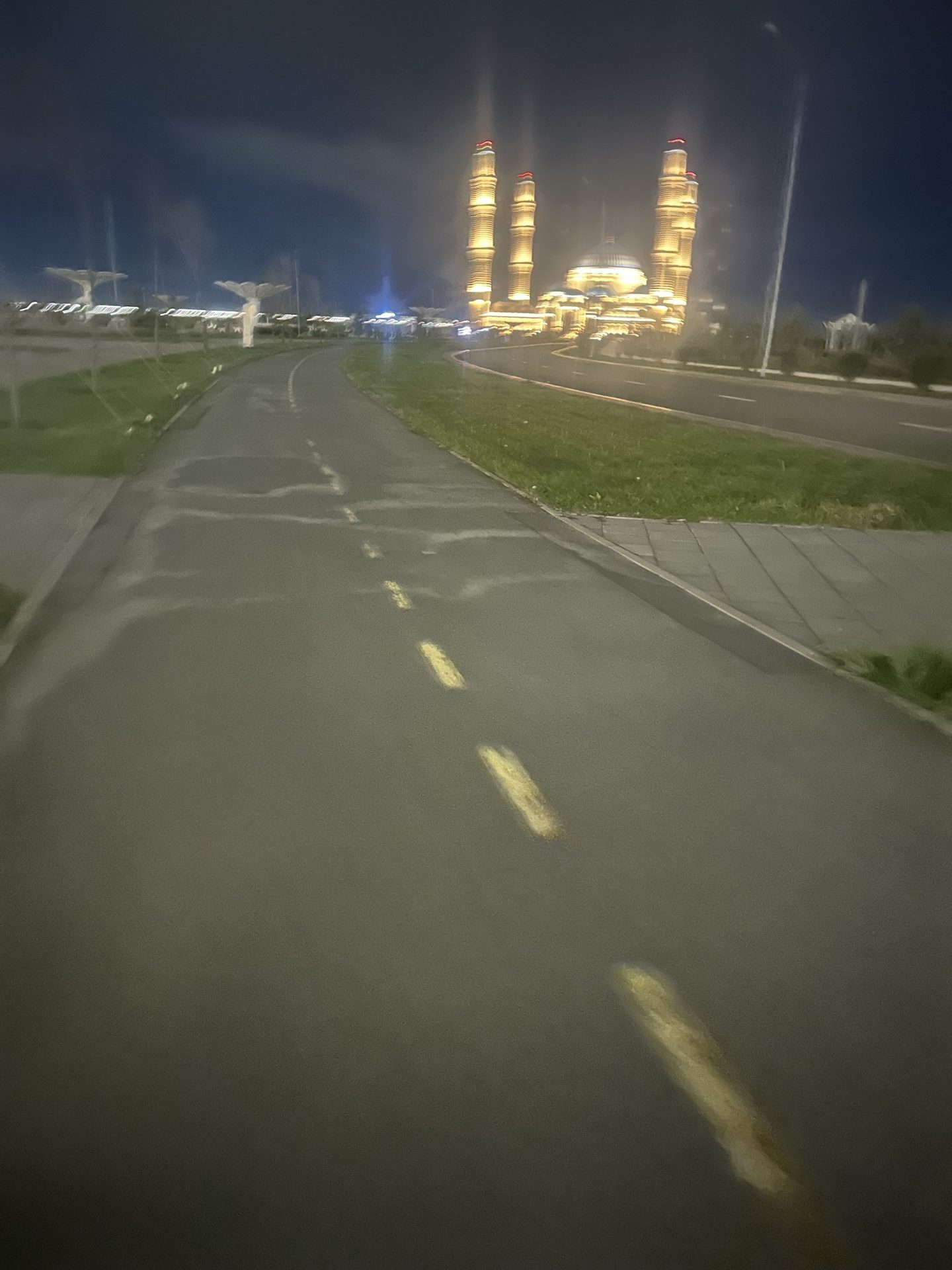 Вечерняя прогулка! Ещё 12000 шагов!