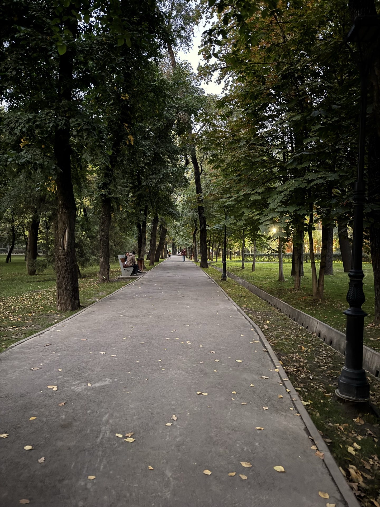Акси сайругашт