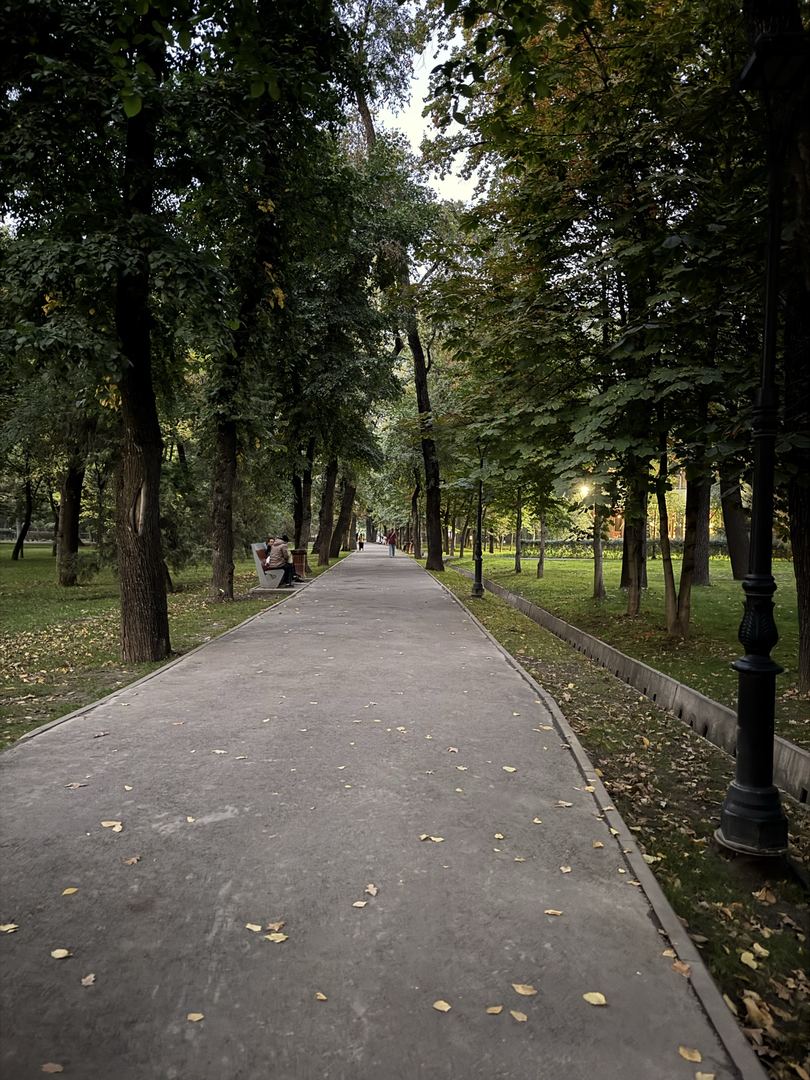 Акси сайругашт