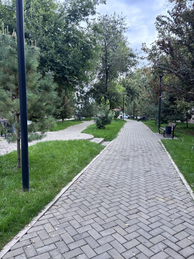 Акси сайругашт
