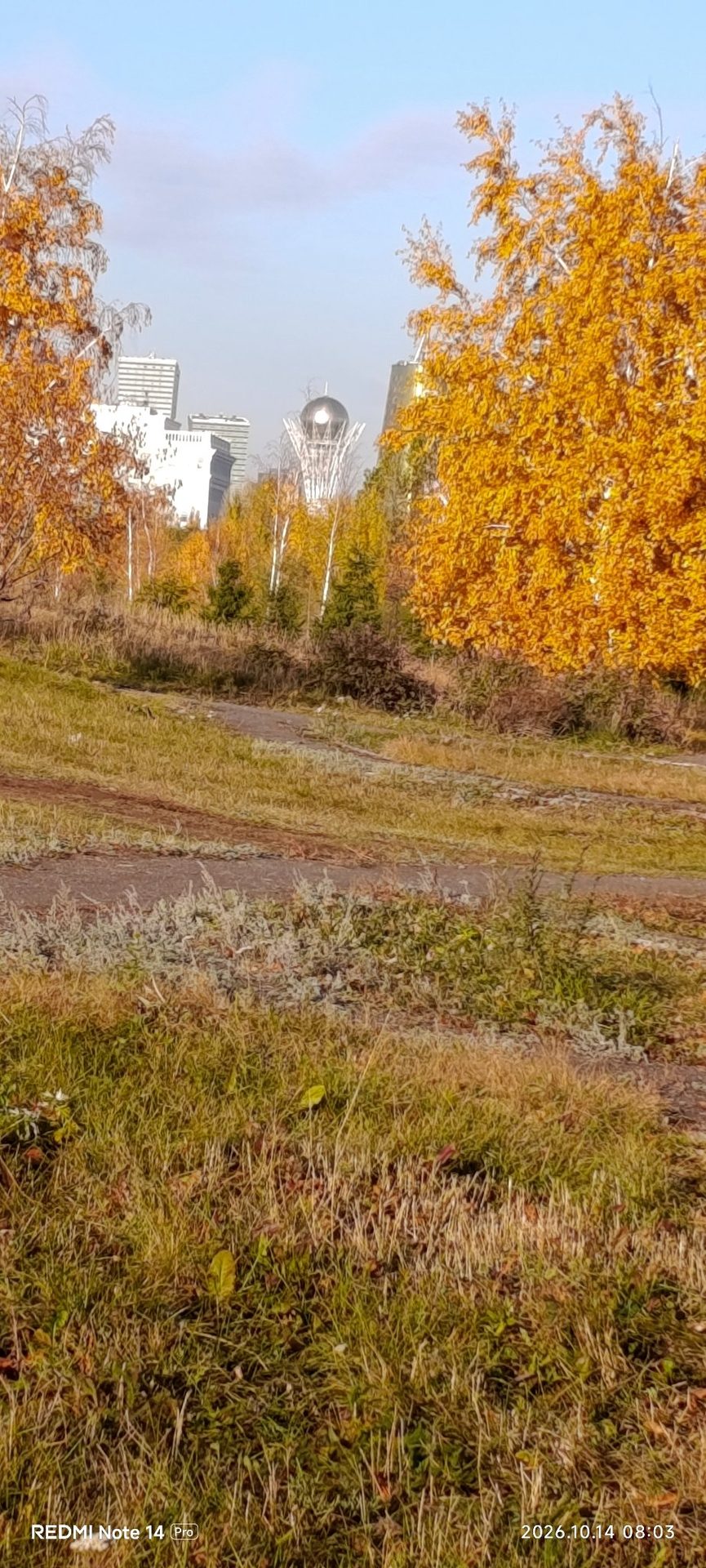 Ақ ордамен бәйтерек, неткен әдемі көрініс.
