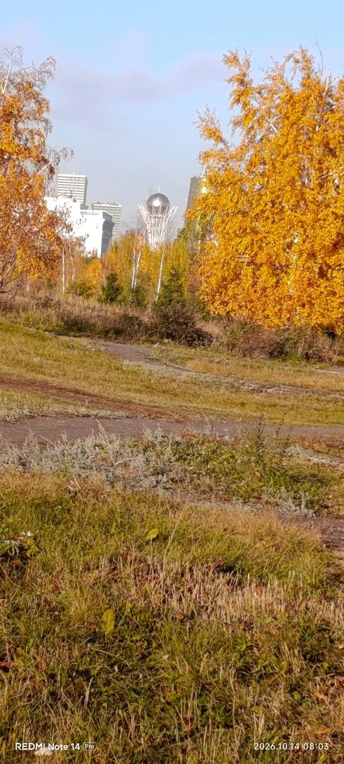 Ақ ордамен бәйтерек, неткен әдемі көрініс.