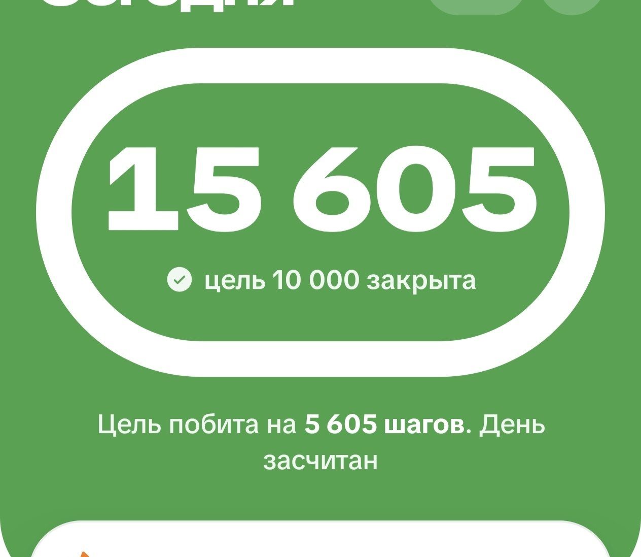 Акси сайругашт