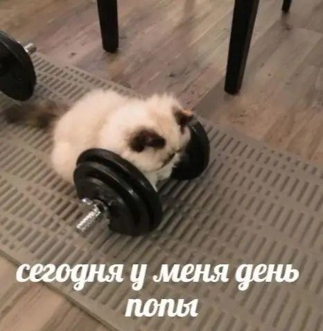 в зал без обеда и ужина☠️(Я буквально была в шаге от встреч…