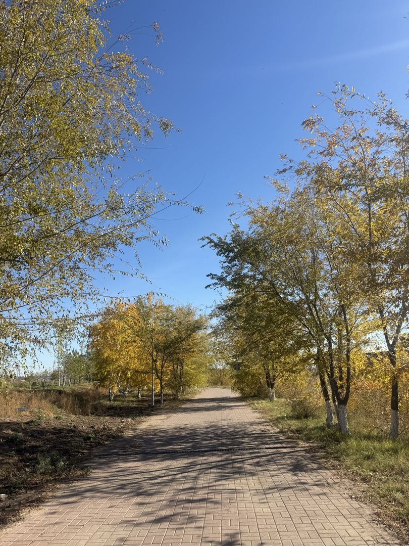 Walk photo