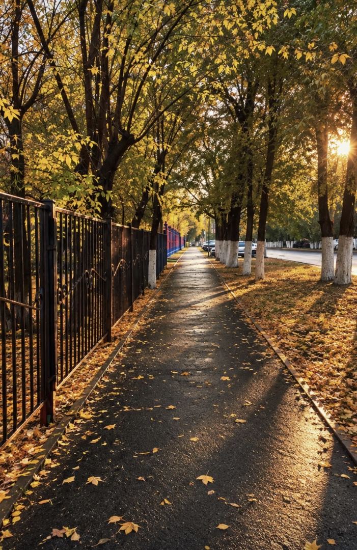 Осень - это состояние души и невероятной магии🍂