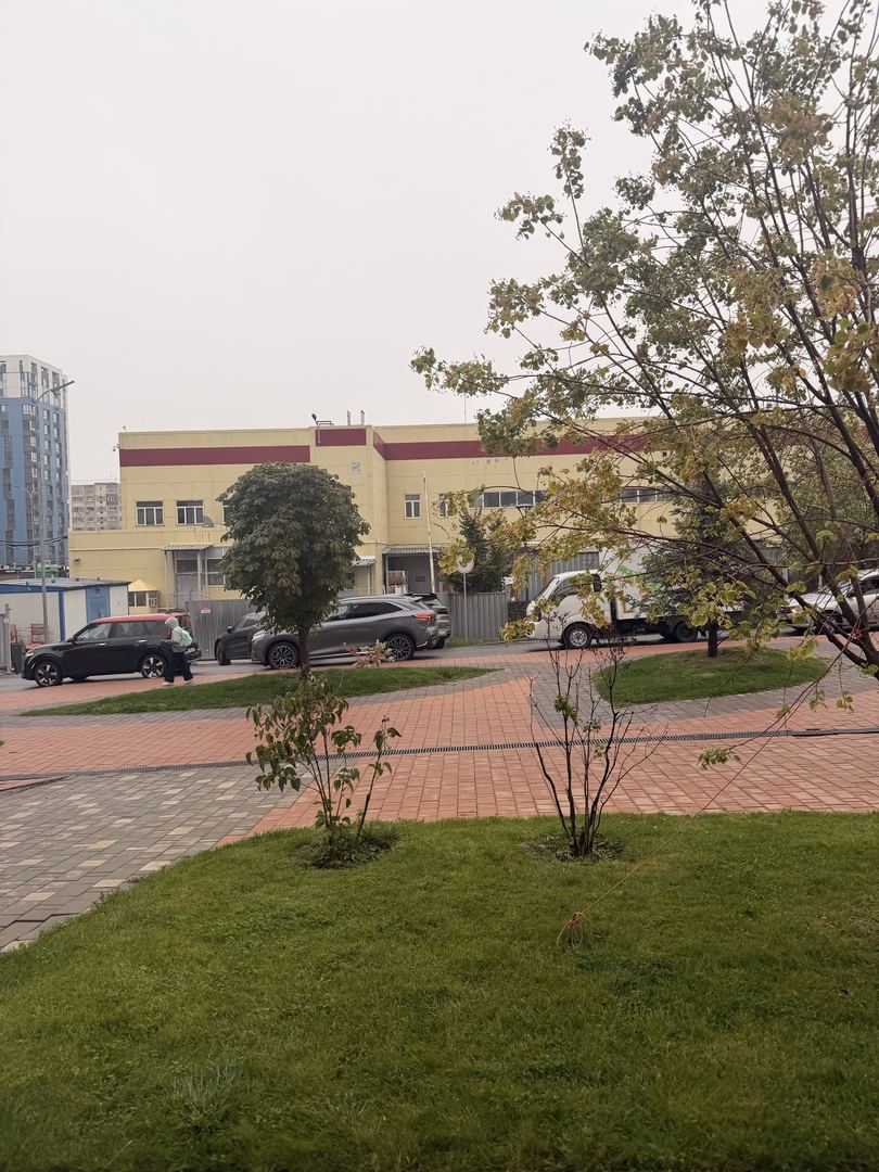 Акси сайругашт