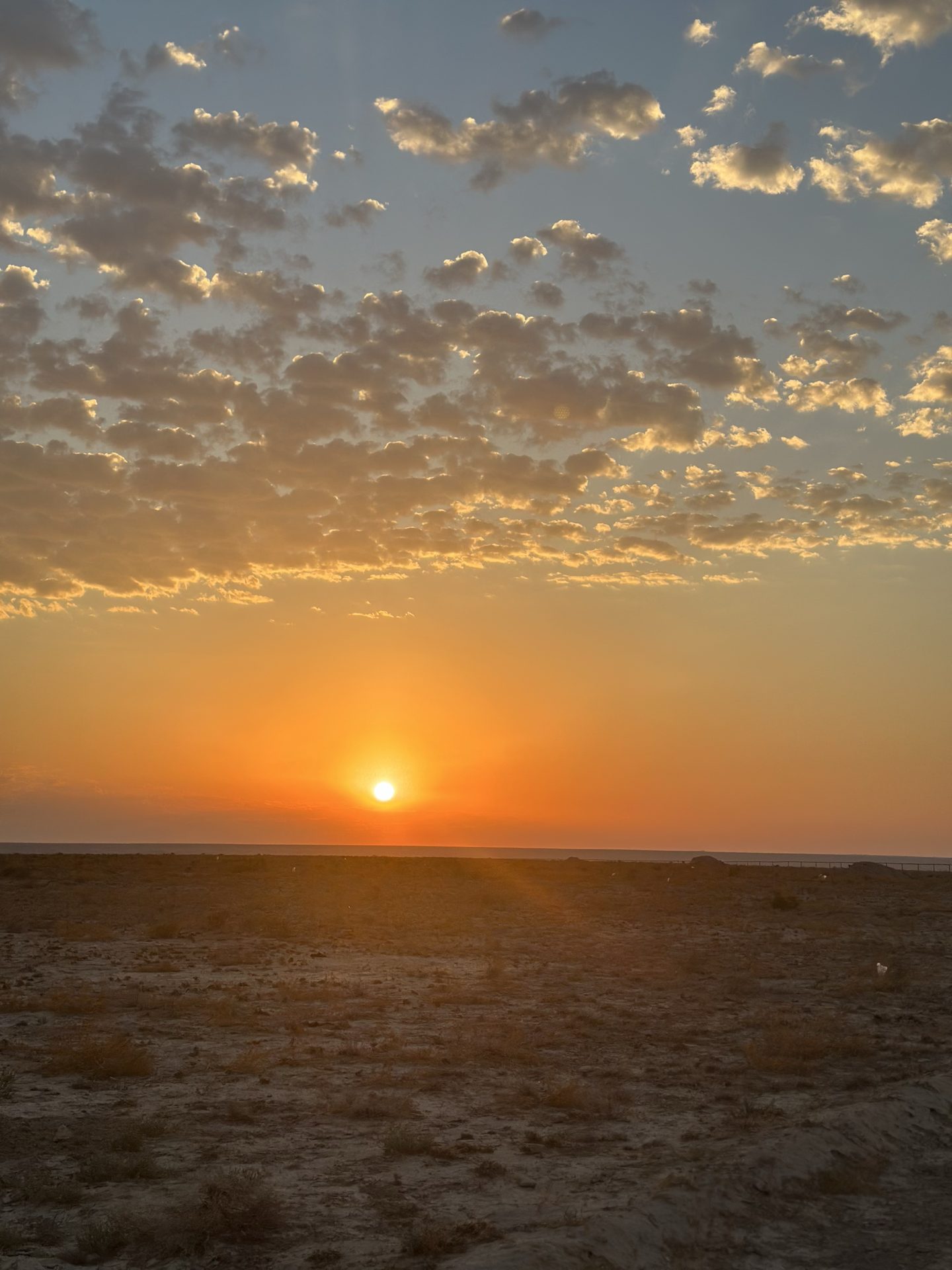 Акси сайругашт